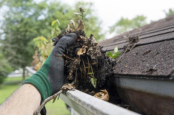 professional gutter cleaning helps prevent water damage, protect your home's foundation, and maintain the structural integrity of your gutters